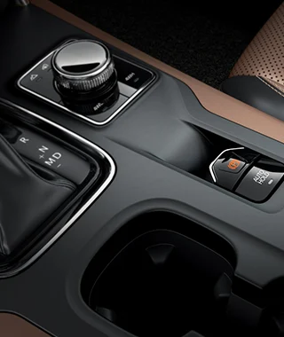 Electronic Parking Brake
